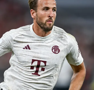 比赛的观赏 比赛的观赏